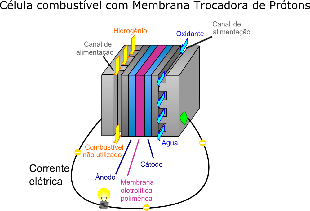 Diagrama de uma célula a combustível com membrana de troca de prótons (PEM).